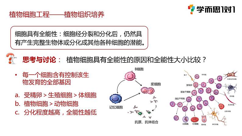 第一节 《植物细胞工程》课件PPT+教案06