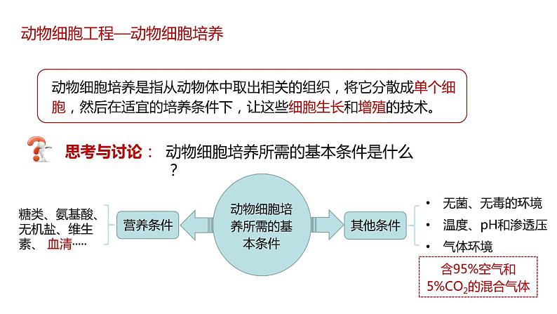 第二节 《动物细胞工程课时1》课件PPT+教案04