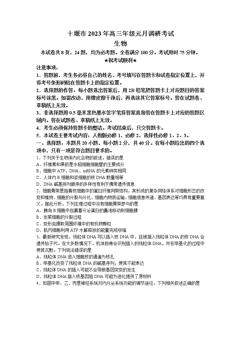 2023十堰高三上学期元月调研考试生物试题含答案01