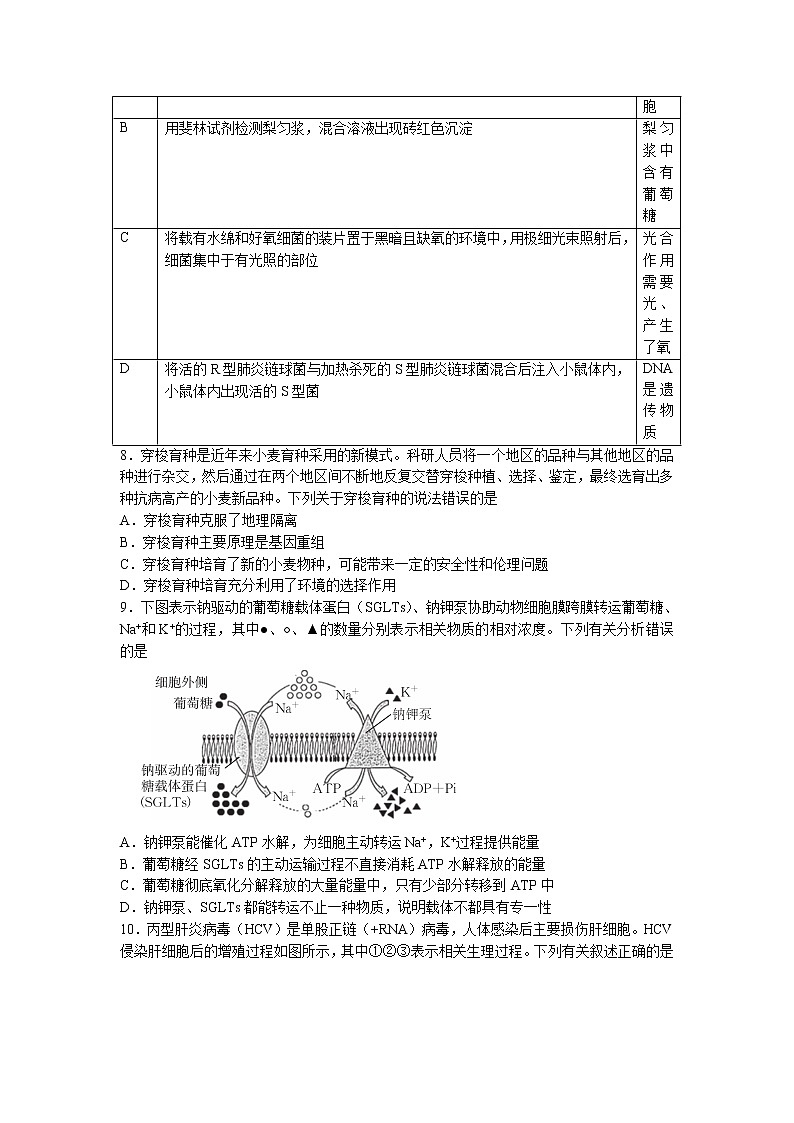2023十堰高三上学期元月调研考试生物试题含答案03