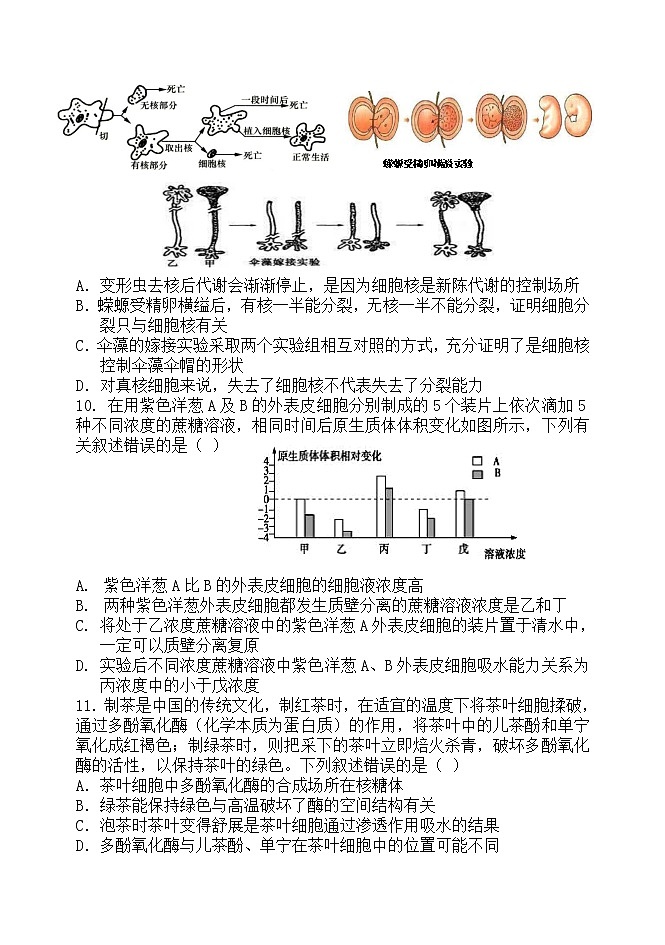 2023辽宁省六校协作体高一上学期12月月考生物试题含答案03
