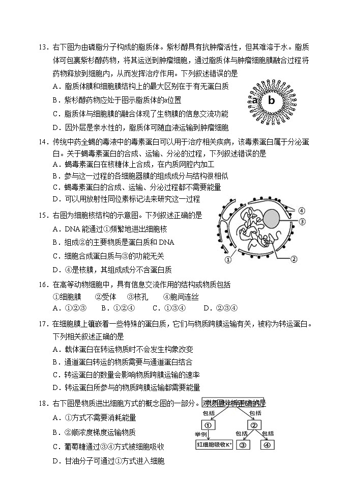 2023大连高一上学期期末考试生物试卷含答案03