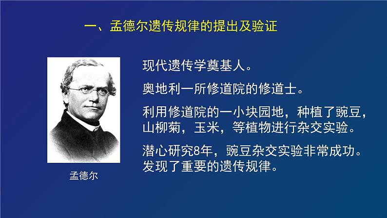 部编生物必修第2册（课件）19  孟德尔遗传与伴性遗传及其实质专题复习第3页