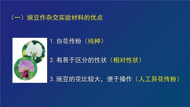 部编生物必修第2册（课件）19  孟德尔遗传与伴性遗传及其实质专题复习第4页