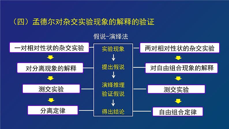 部编生物必修第2册（课件）19  孟德尔遗传与伴性遗传及其实质专题复习第7页