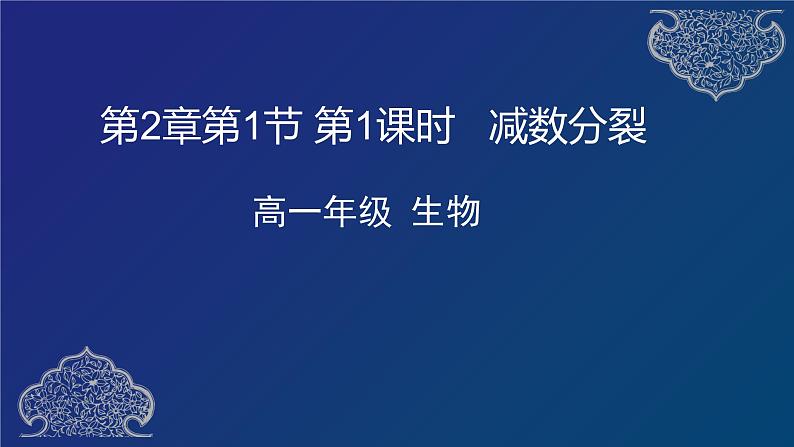 部编生物必修第2册（课件）减数分裂01