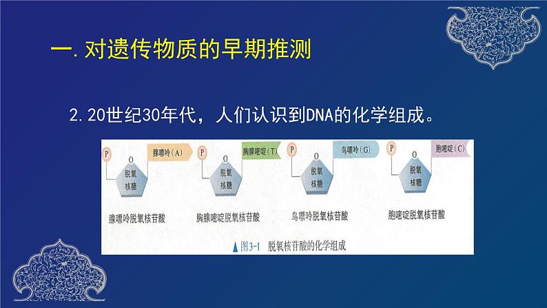 部编生物必修第2册（课件）7  DNA是主要的遗传物质第5页