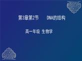 部编生物必修第2册（课件）8  DNA的结构