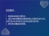 部编生物必修第2册（课件）8  DNA的结构