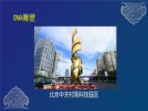 部编生物必修第2册（课件）8  DNA的结构