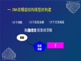 部编生物必修第2册（课件）8  DNA的结构