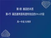 部编生物必修第2册（课件）10 基因通常是有遗传效应的DNA片段