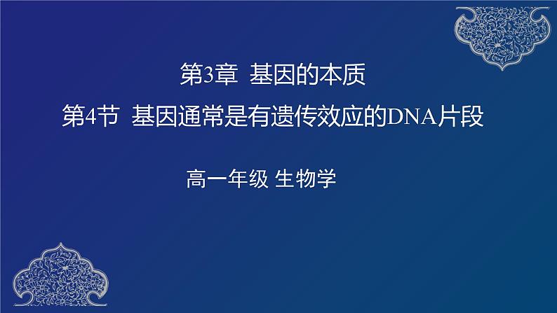 部编生物必修第2册（课件）10 基因通常是有遗传效应的DNA片段01