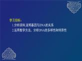 部编生物必修第2册（课件）10 基因通常是有遗传效应的DNA片段