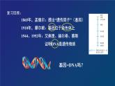 部编生物必修第2册（课件）10 基因通常是有遗传效应的DNA片段