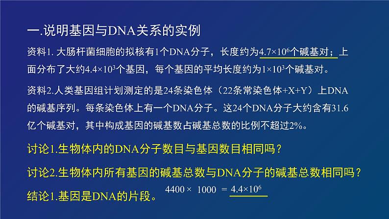 部编生物必修第2册（课件）10 基因通常是有遗传效应的DNA片段04