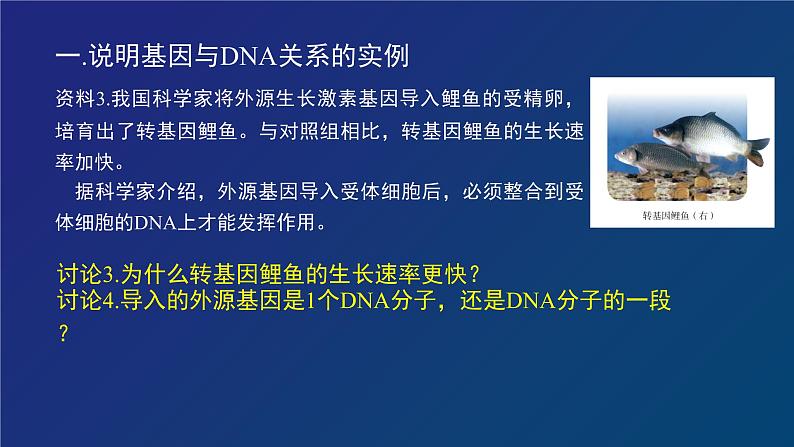 部编生物必修第2册（课件）10 基因通常是有遗传效应的DNA片段05