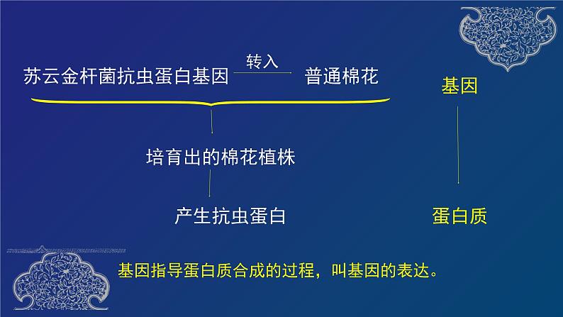 部编生物必修第2册（课件）11基因指导蛋白质的合成02