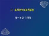 部编生物必修第2册（课件）13 基因突变和基因重组