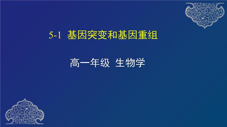 部编生物必修第2册（课件）13 基因突变和基因重组第1页