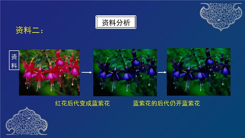 部编生物必修第2册（课件）13 基因突变和基因重组第6页