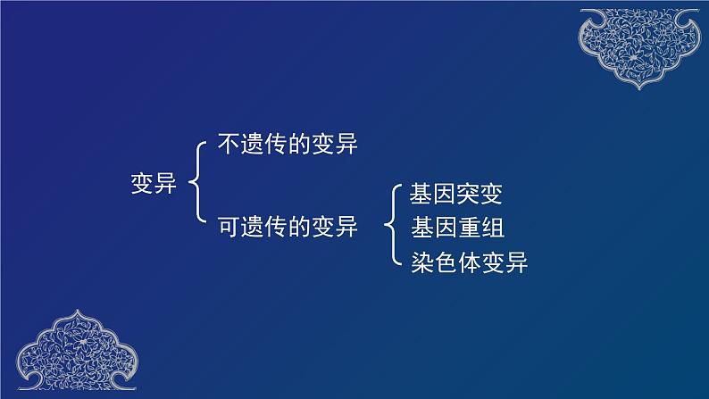 部编生物必修第2册（课件）13 基因突变和基因重组第7页