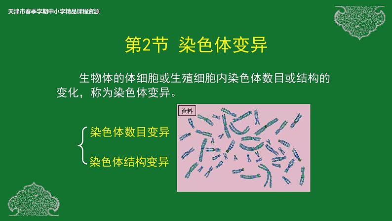 部编生物必修第2册（课件）14 染色体变异03