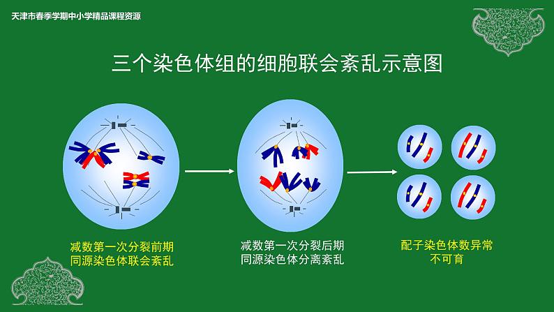 部编生物必修第2册（课件）14 染色体变异08