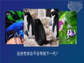 部编生物必修第2册（课件）17  种群基因组成的变化