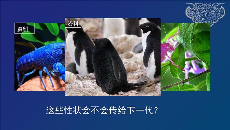 部编生物必修第2册（课件）17  种群基因组成的变化02