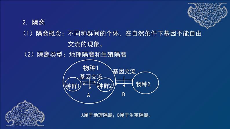 部编生物必修第2册（课件）18  物种的形成、协同进化与生物多样性的形成05