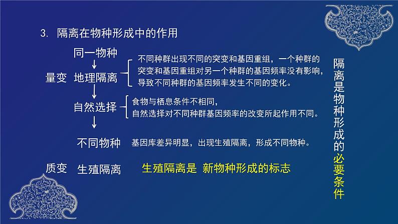 部编生物必修第2册（课件）18  物种的形成、协同进化与生物多样性的形成07