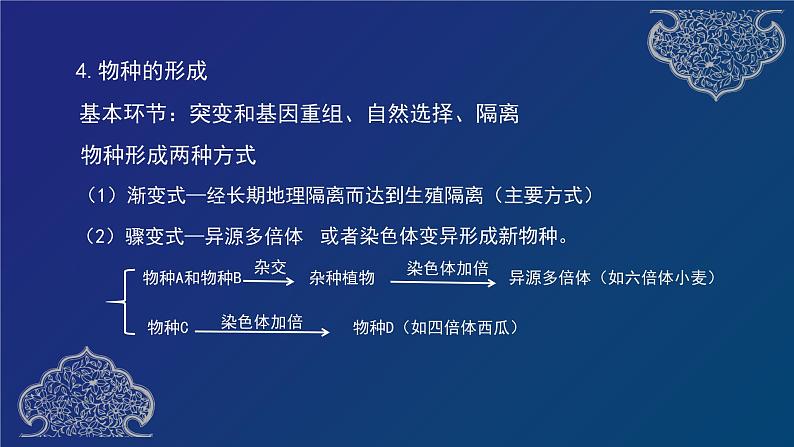 部编生物必修第2册（课件）18  物种的形成、协同进化与生物多样性的形成08