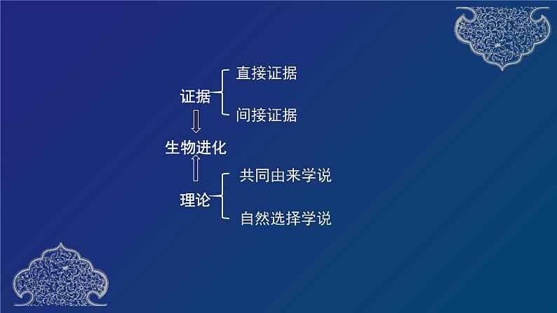 部编生物必修第2册（课件）22 生物的进化专题复习第6页