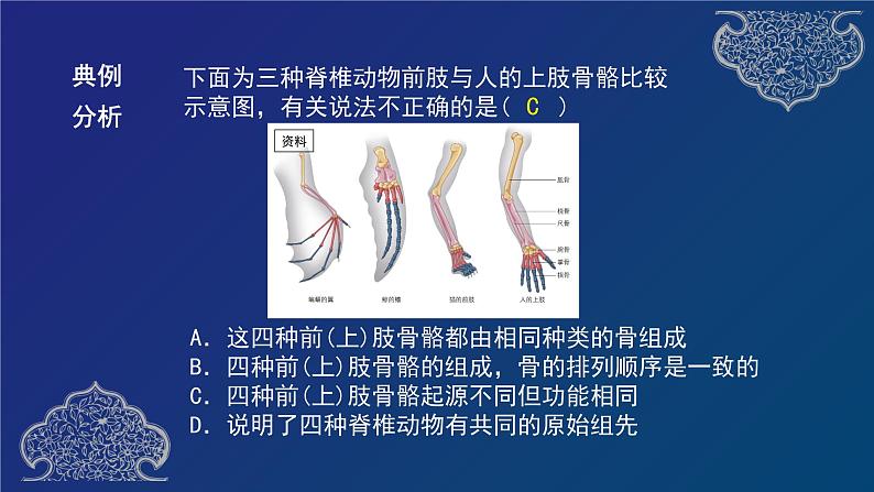 部编生物必修第2册（课件）22 生物的进化专题复习第7页