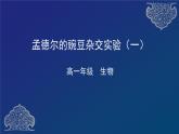 部编生物必修第2册（课件）1 孟德尔的豌豆杂交实验（一）