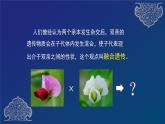 部编生物必修第2册（课件）1 孟德尔的豌豆杂交实验（一）