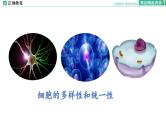 1.2 细胞的多样性和统一性课件PPT