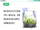 1.2 细胞的多样性和统一性课件PPT