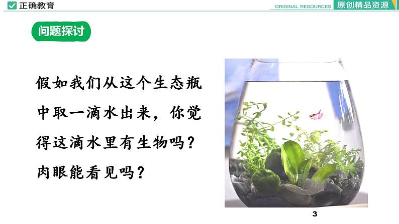 1.2 细胞的多样性和统一性课件PPT03