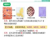 1.2 细胞的多样性和统一性课件PPT