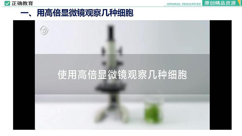1.2 细胞的多样性和统一性课件PPT05