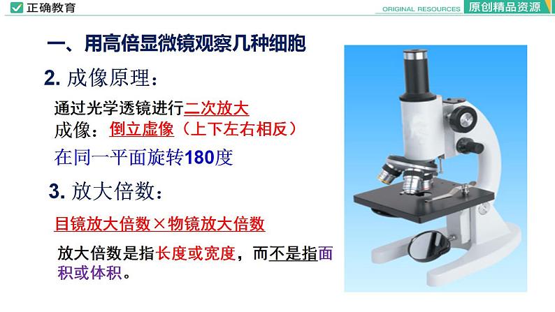 1.2 细胞的多样性和统一性课件PPT07