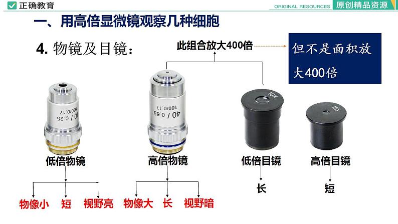 1.2 细胞的多样性和统一性课件PPT08