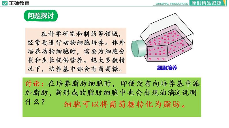 2.3 细胞中的糖类和脂质（第二课时）课件PPT04