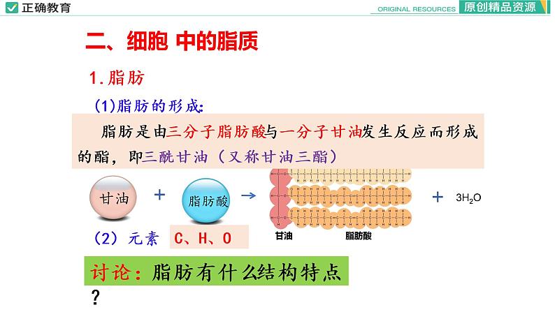 2.3 细胞中的糖类和脂质（第二课时）课件PPT08