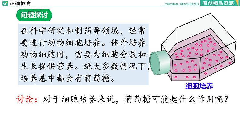 2.3 细胞中的糖类和脂质（第一课时）课件PPT03