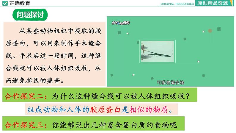 2.4 蛋白质是生命活动的主要承担者（第一课时）课件PPT05