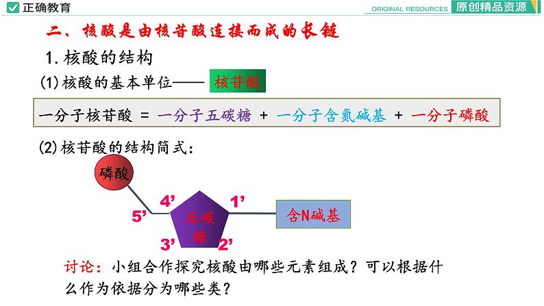 2.5 核酸是遗传信息的携带者课件PPT07