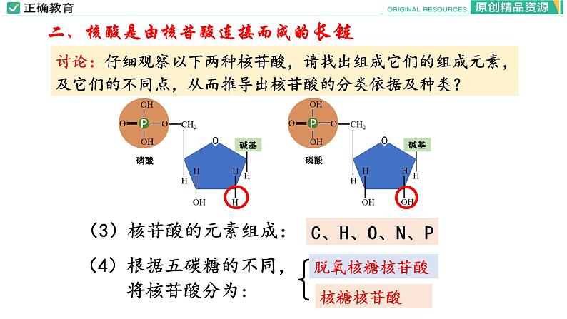 2.5 核酸是遗传信息的携带者课件PPT08